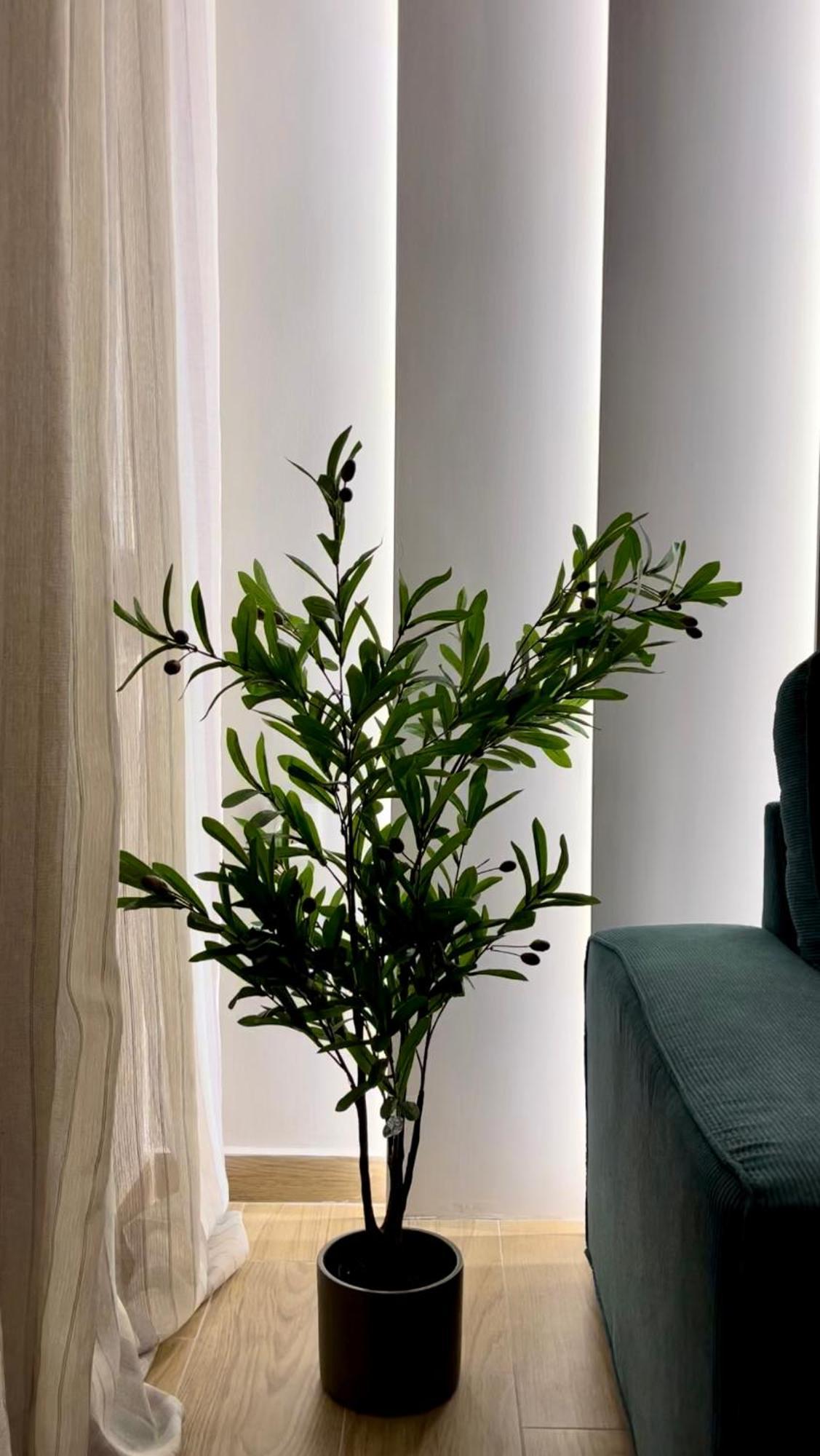 Emerald Luxury Apartments - Ath Airport Spáta 外观 照片